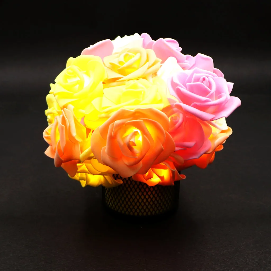 Big Roses Multi-Color 24 LED String Fairy Lights