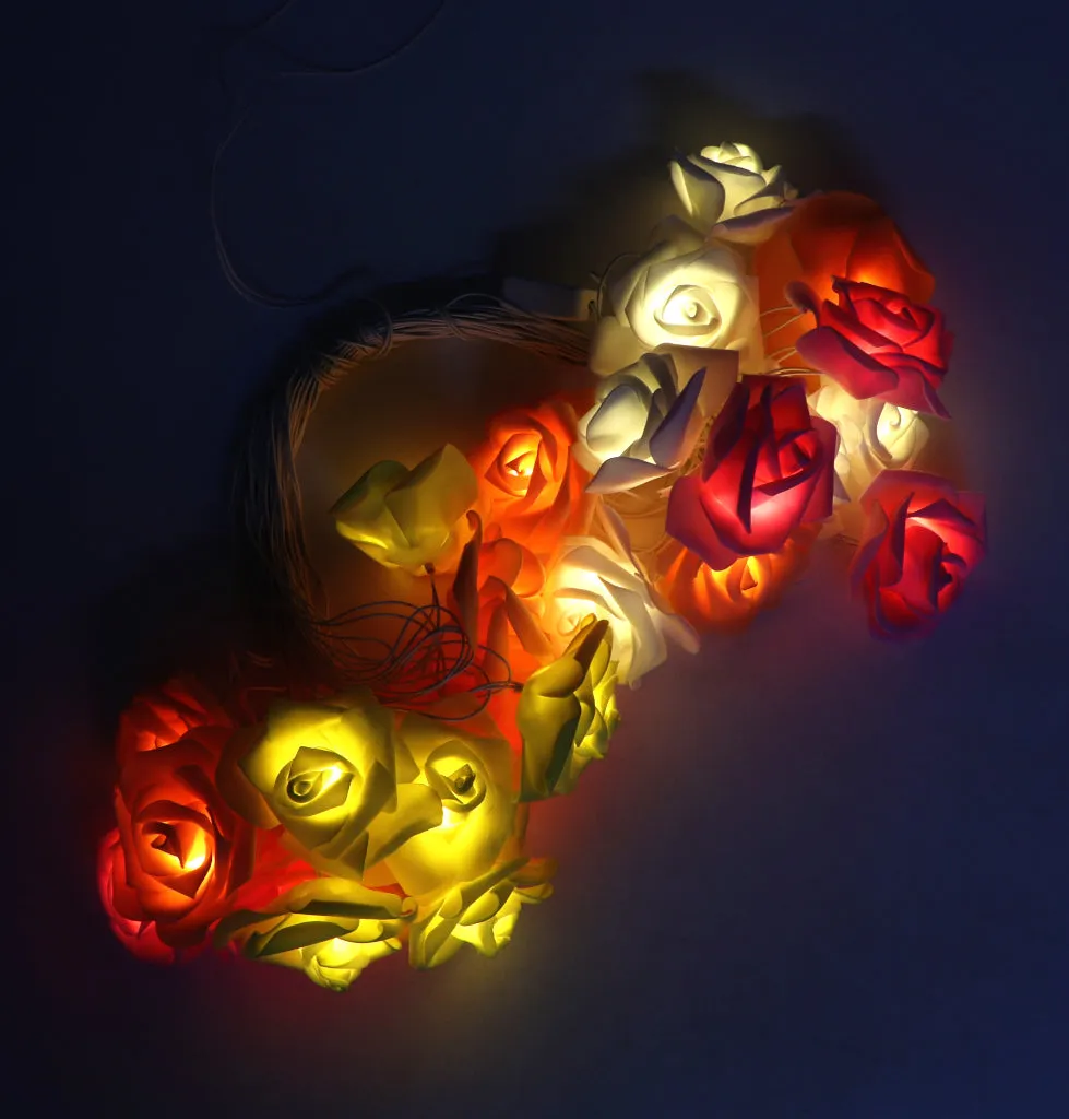 Big Roses Multi-Color 24 LED String Fairy Lights