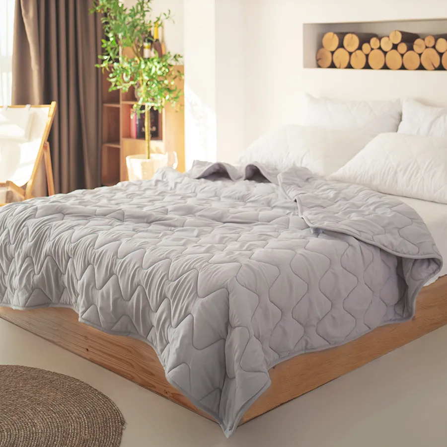 Comforter & Duvet Insert Gray