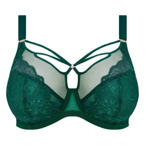 Elomi Brianna Plunge Bra Rainforest