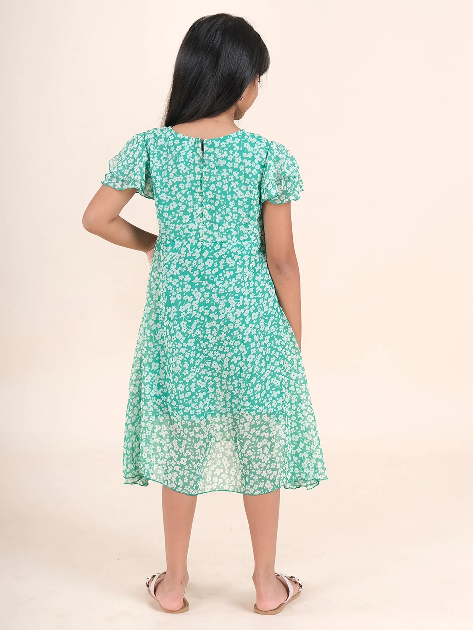 Frill Sleeves Floral Print A Line Flared Dress