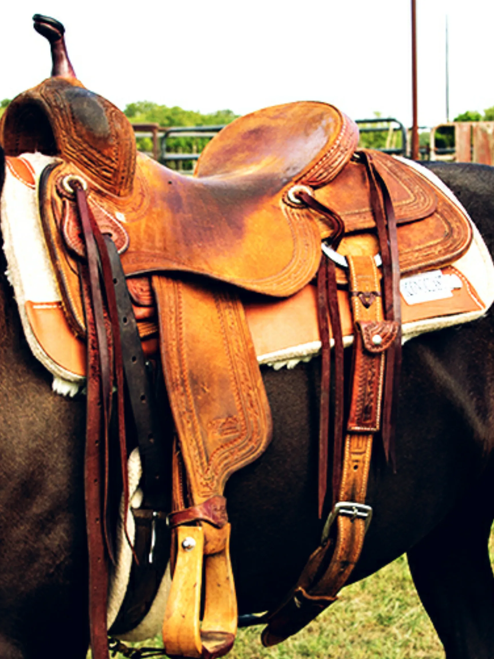 Hair On Hide Iconoclast Saddle Pad